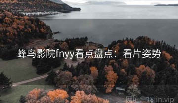 蜂鸟影院fnyy看点盘点：看片姿势