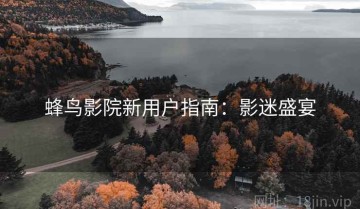 蜂鸟影院新用户指南：影迷盛宴