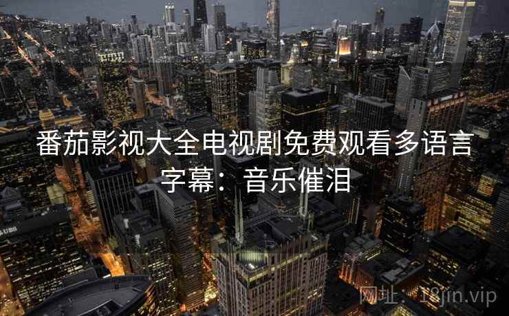 番茄影视大全电视剧免费观看多语言字幕：音乐催泪